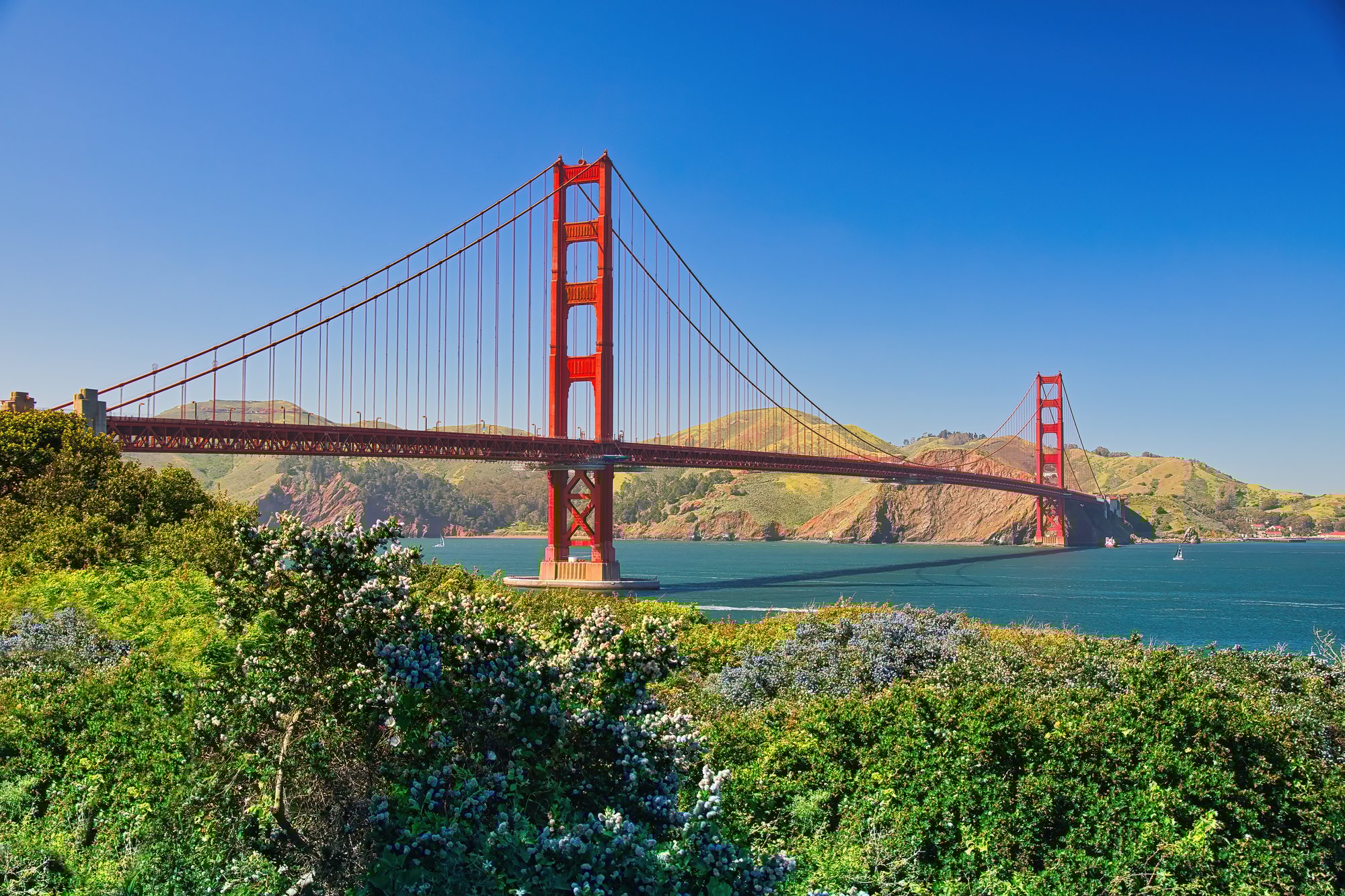 shutterstock_2453918921